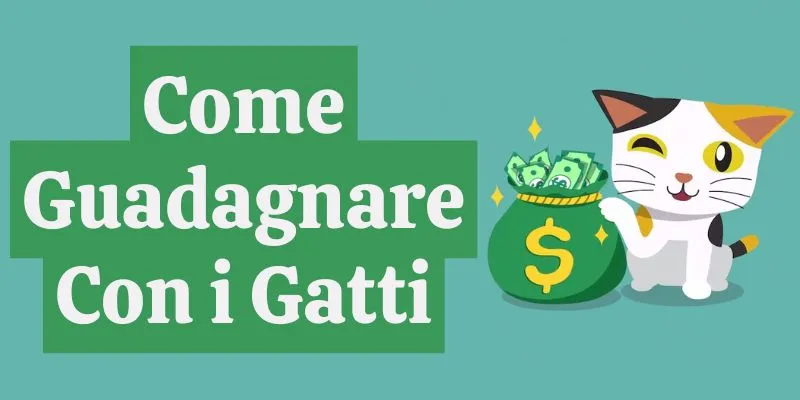 Come Guadagnare Con i Gatti